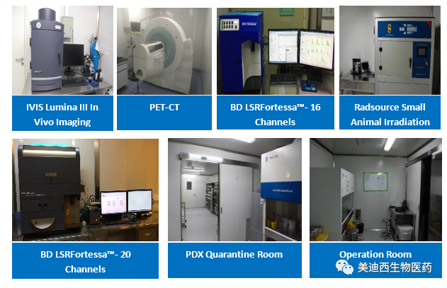 pg电子娱乐药理部拥有IVIS Lumina III, PET-CT, BD LSRFortessa-16, Flow Cytometry等仪器，提供符合申报，支持临床试验的药效评价服务。