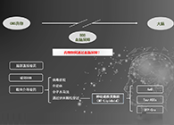 人工合成NT类脂质开放血脑屏障，为CNS药物打开新局面