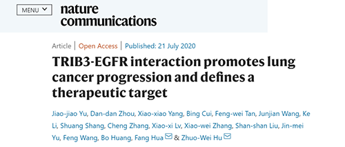 Nature|非小细胞肺癌治疗新方案：靶向降解EGFR