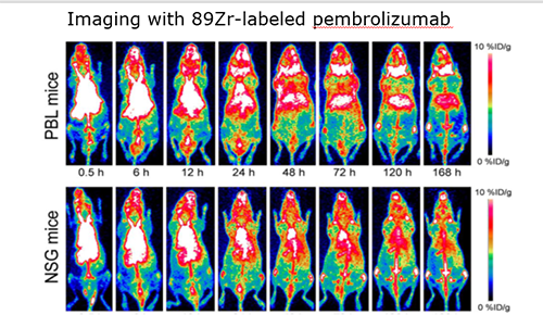 pg电子娱乐PET/CT分子影像技术平台