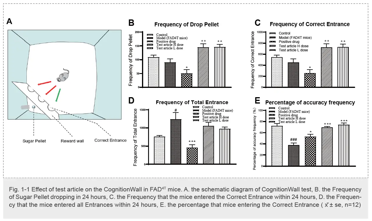 Experiment of CognitionWall Test in FAD4T mice-2.webp