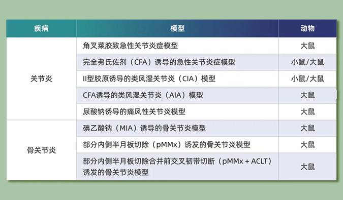 世界关节炎日：突破上亿人的共同难关，持续探索关节炎新药