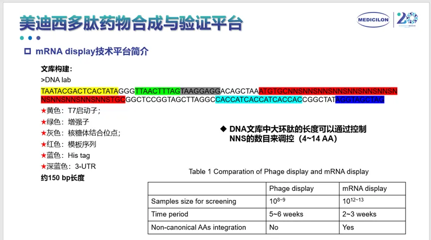 pg电子娱乐多肽药物合成与验证平台.webp