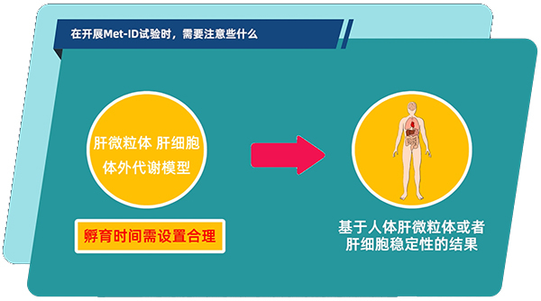 肝微粒体、肝细胞体外代谢模型中，孵育时间需设置合理.jpg