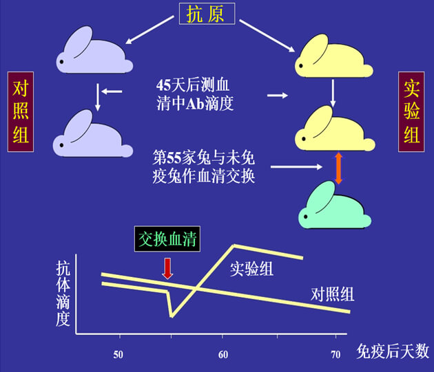 Figure-1：机体对抗体浓度变化的感知与反馈性自我调节.jpg