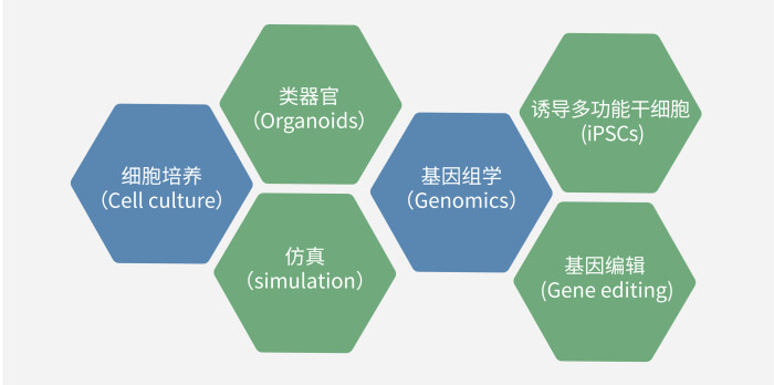 六大技术板块已上线，持续升级中.jpg